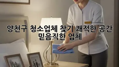 양천구 청소업체 찾기: 쾌적한 공간, 믿음직한 업체