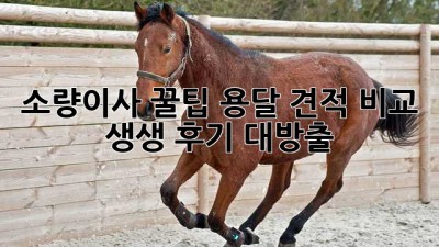 소량이사 꿀팁🍯 용달 견적 비교 & 생생 후기 대방출! 🚚💨