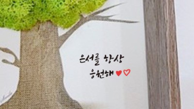 힐링템🌿 스칸디아모스액자 솔직 후기! 지금 사면 이득?!